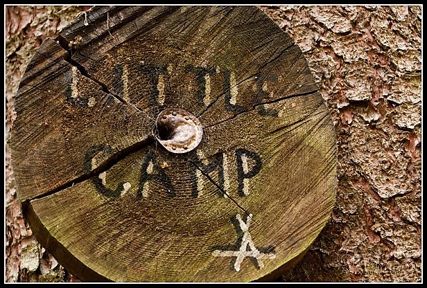 Little Camp cedule