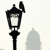 Lampy 2
